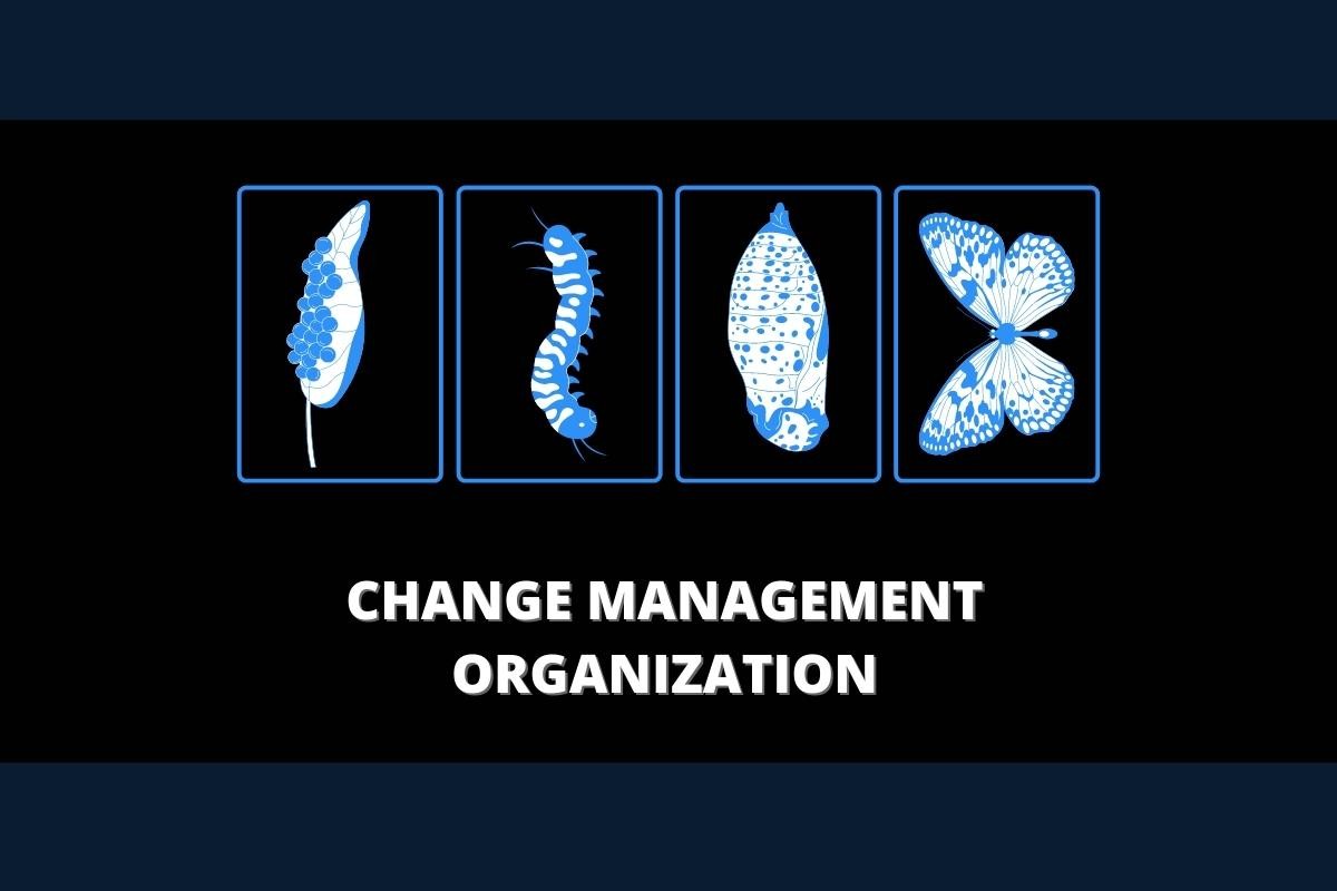 What is Change Management Organization?
