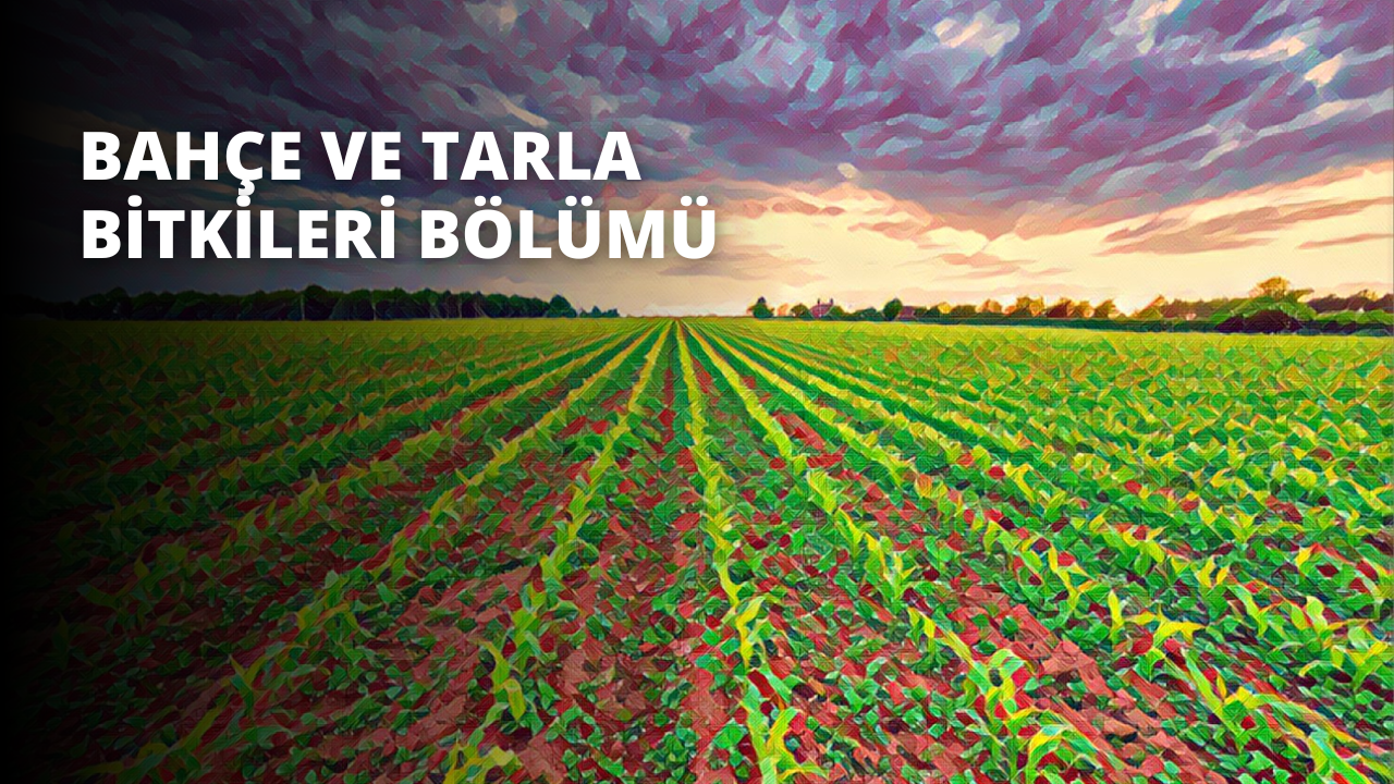 Bahçe ve Tarla Bitkileri Bölümü