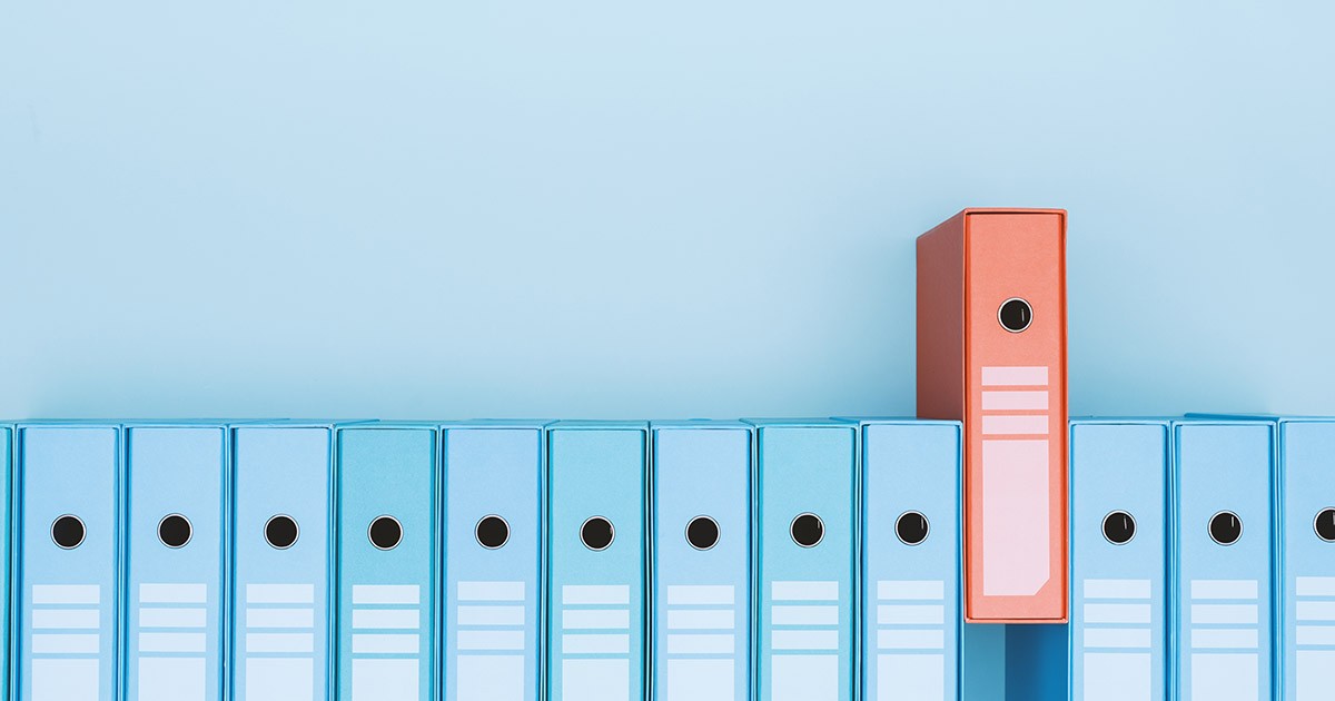 Bilgi ve Belge Yönetimi Bölümü