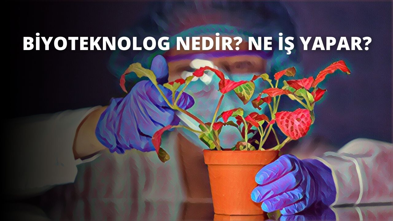 Biyoteknolog Nedir? Ne İş Yapar?