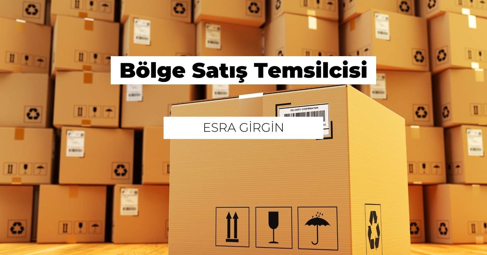 Bölge Satış Temsilcisi Nedir? Ne İş Yapar?