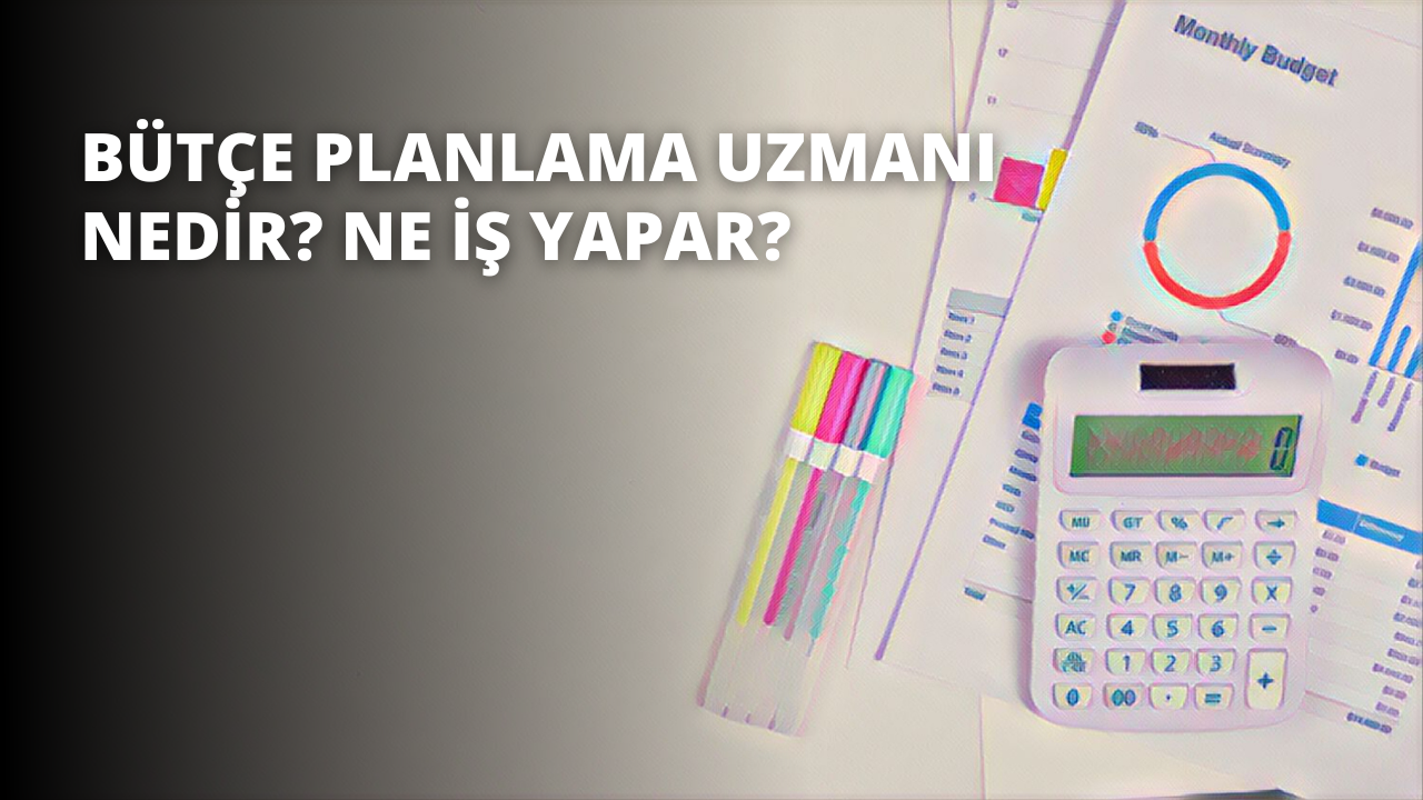 Bütçe Planlama Uzmanı Nedir? Ne İş Yapar?