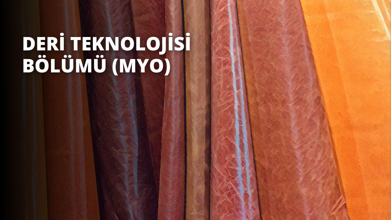 Deri Teknolojisi Bölümü (MYO)