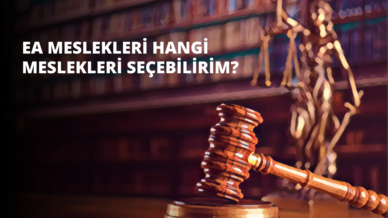 EA Meslekleri. Hangi Meslekleri Seçebilirim?