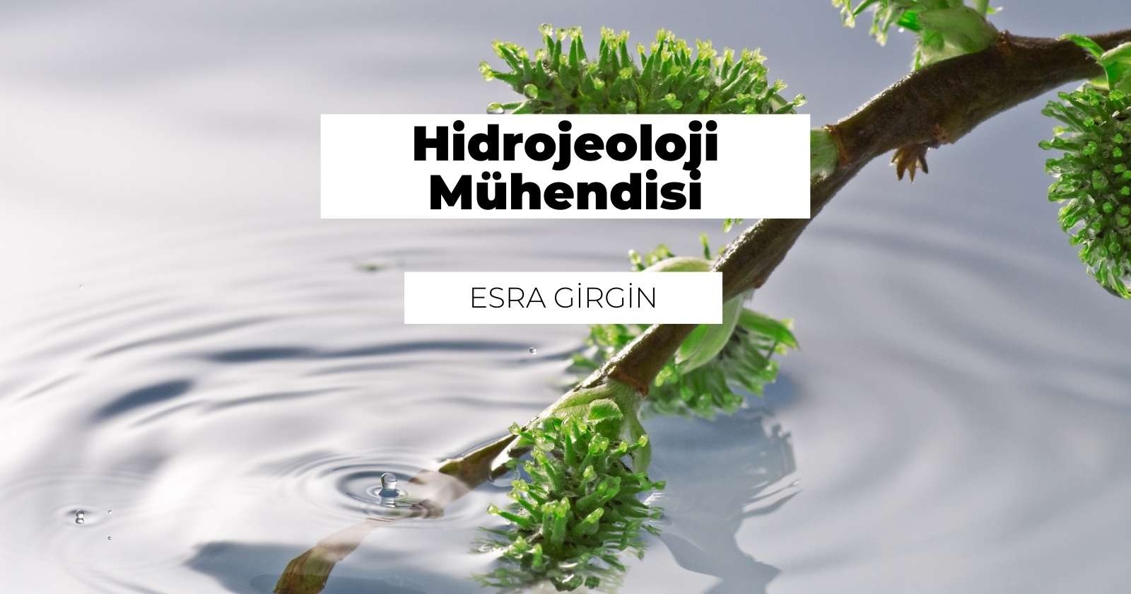 Hidrojeoloji Mühendisi Nedir? Ne İş Yapar?