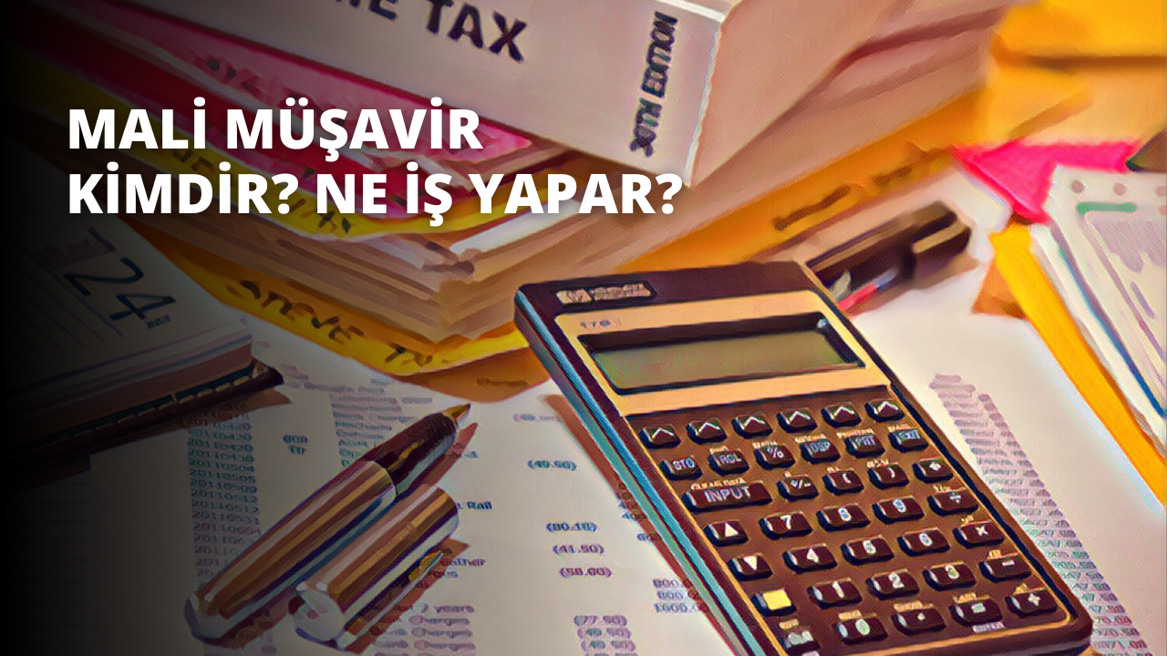 Mali Müşavir Kimdir? Ne İş Yapar?