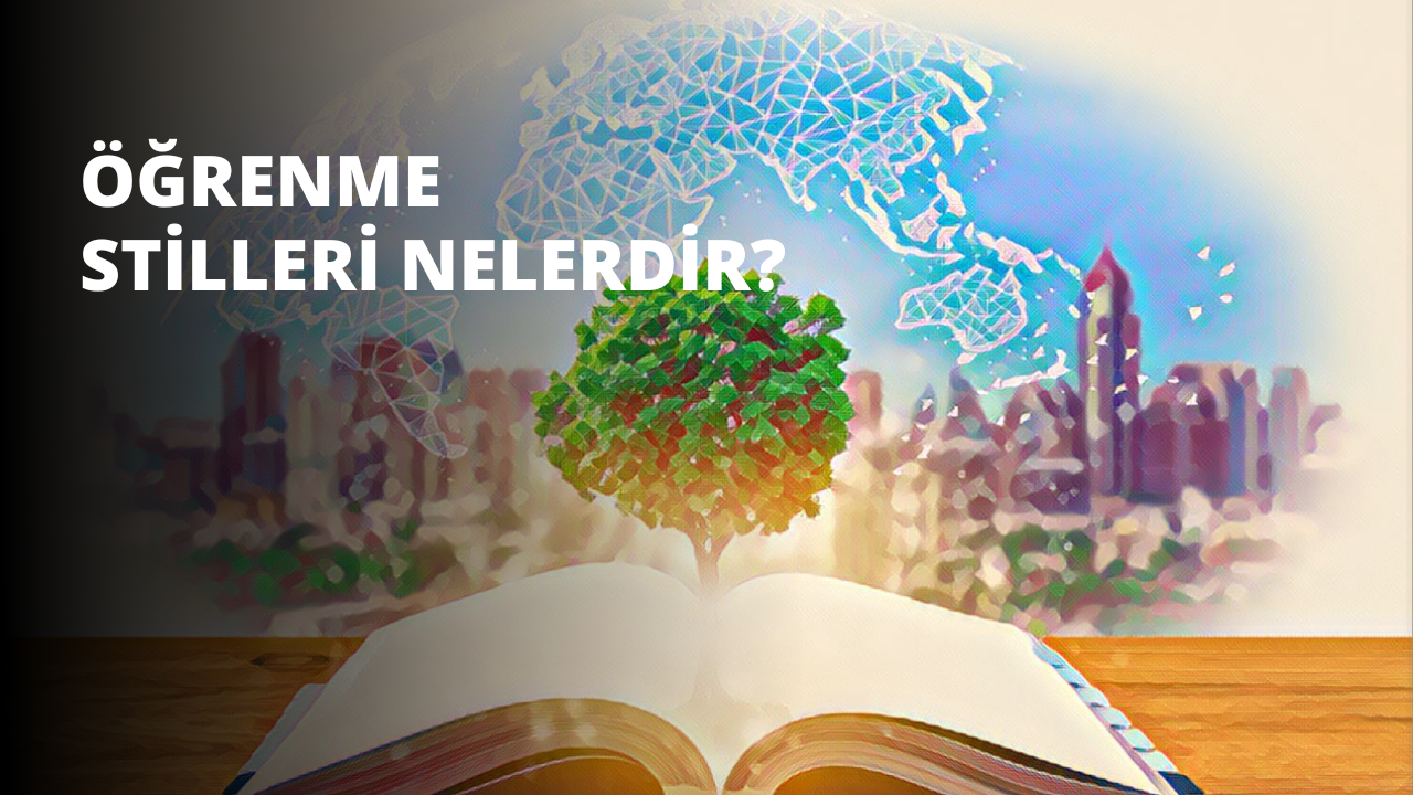 Öğrenme Stilleri Nelerdir?