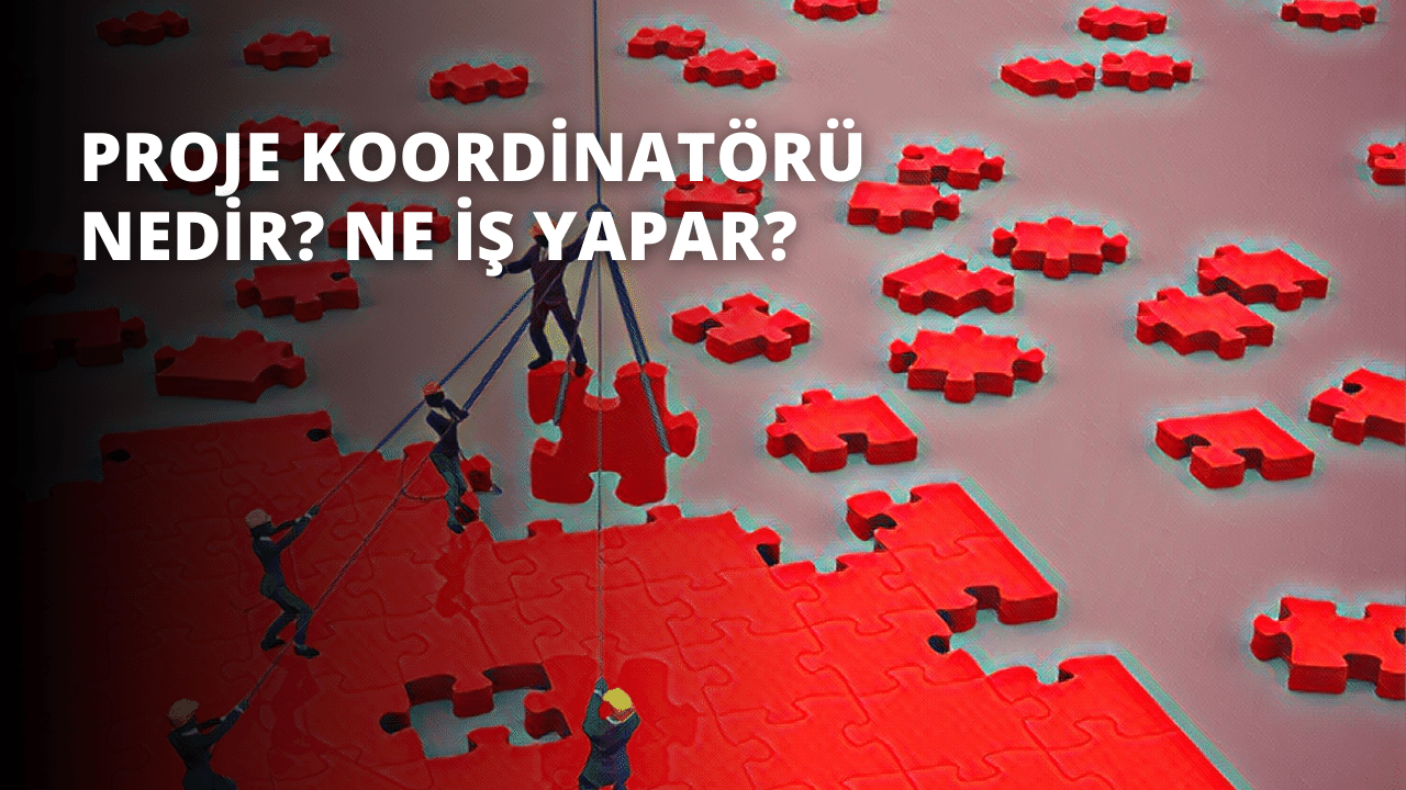 Proje Koordinatörü Nedir? Ne İş Yapar?