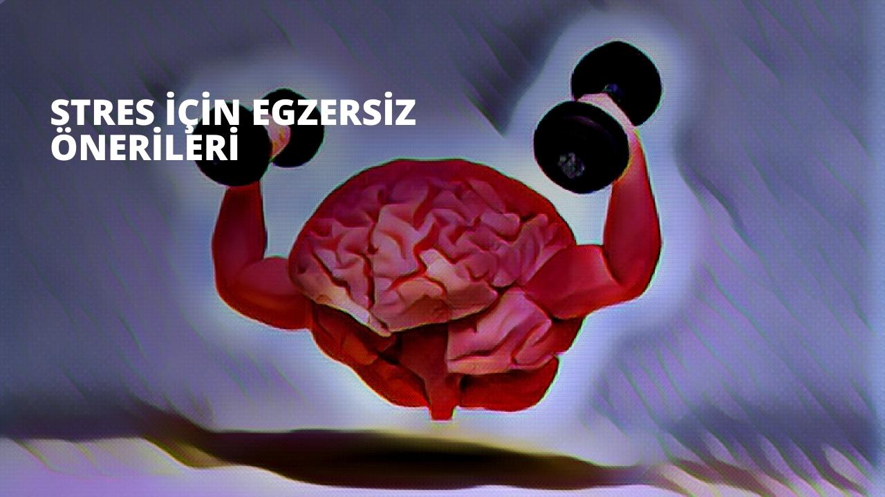 Stres İçin Egzersiz Önerileri