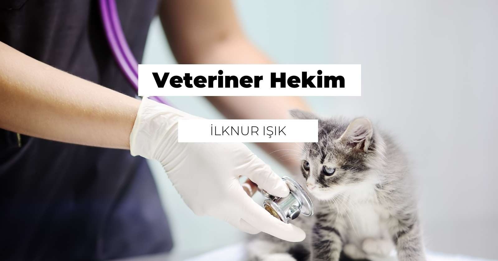 Veteriner Hekim Nedir? Ne İş Yapar?